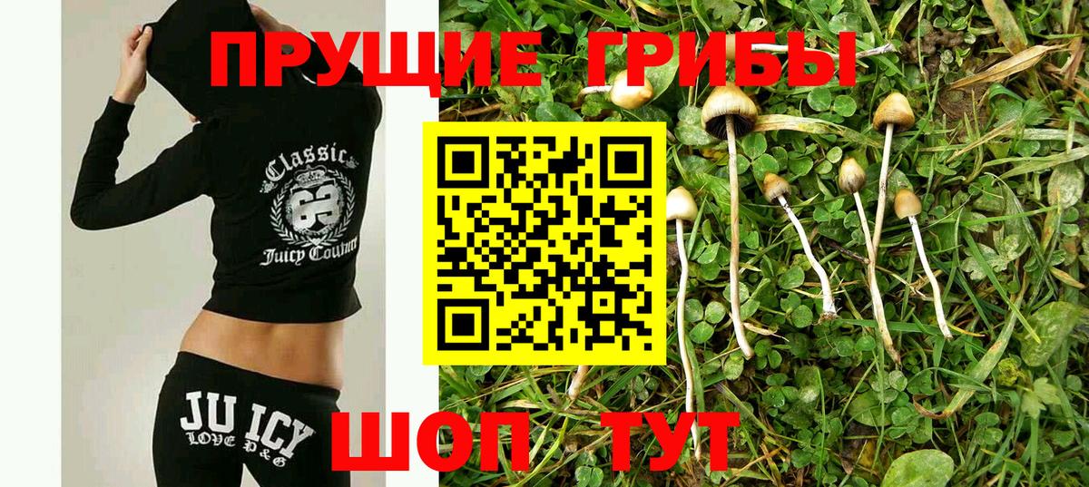 Карабулак  Галлюциногенные грибы GOLDEN TEACHER  Галлюциногенные грибы мицелий  Вход с VPN 